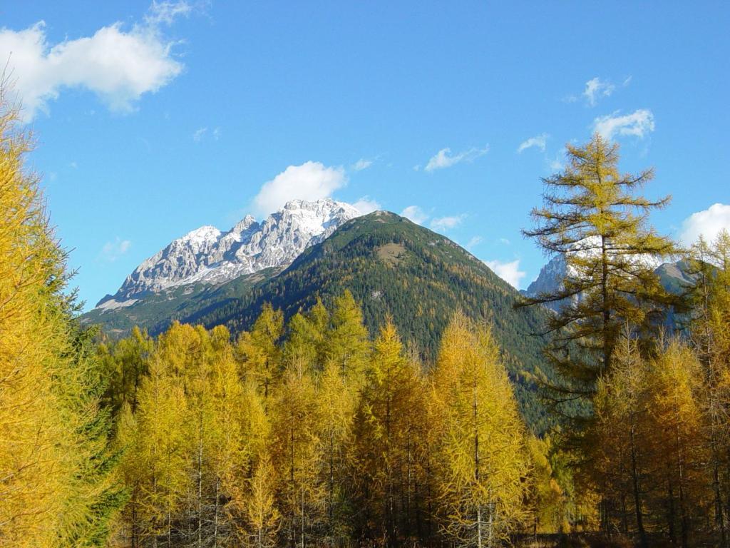 Hotel Garni Wildanger
